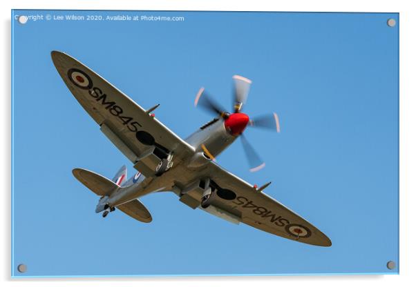 Spitfire MKVIII  Acrylic by Lee Wilson
