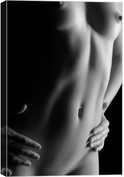 nude belly button bodyscape nude Canvas Print by Alessandro Della Torre