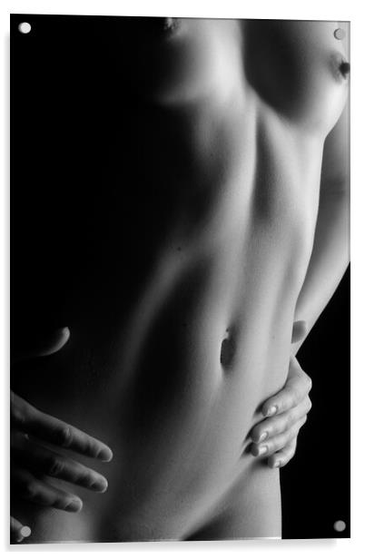 nude belly button bodyscape nude Acrylic by Alessandro Della Torre