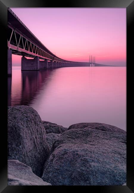 Oresunds Bridge at Pink Sunset  Framed Print by Antony McAulay