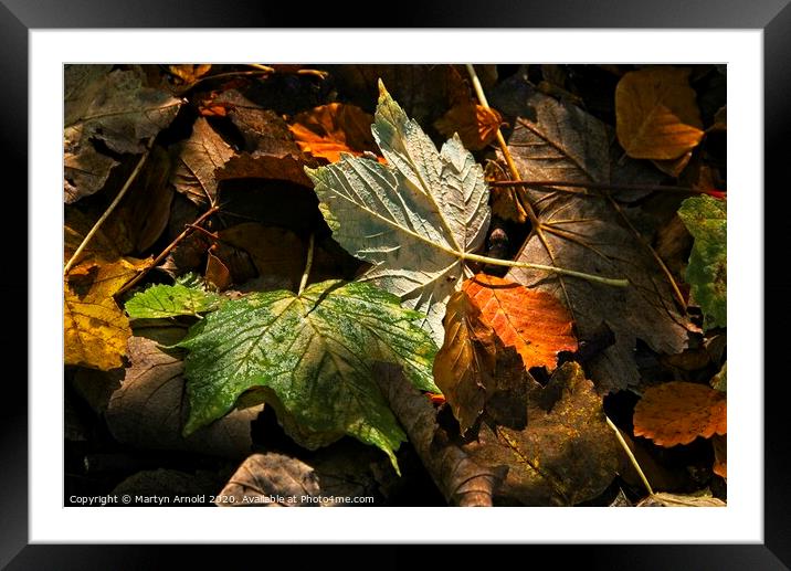 Autumn Leaves Framed Mounted Print by Martyn Arnold