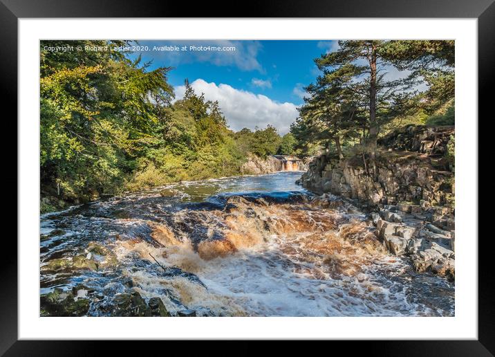 Autumn Tints at Low Force Waterfall Sep 2020 2 Framed Mounted Print by Richard Laidler