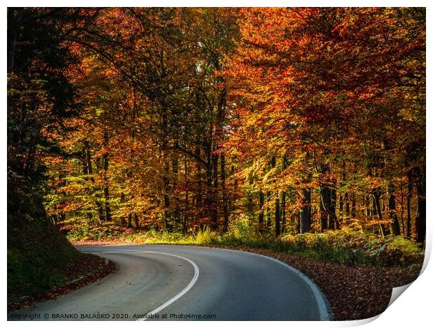 A close up of a country road Print by BRANKO BALAŠKO