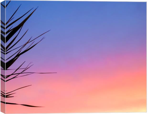 Romantic Sunset Palms Canvas Print by Beryl Curran