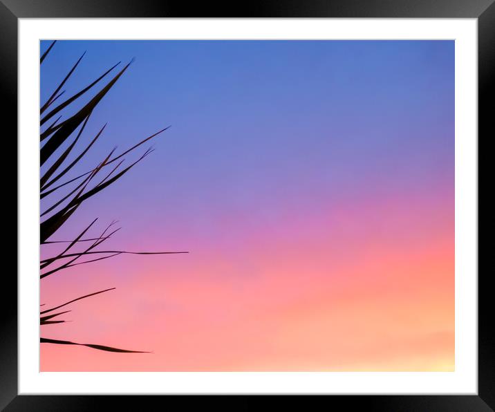 Romantic Sunset Palms Framed Mounted Print by Beryl Curran