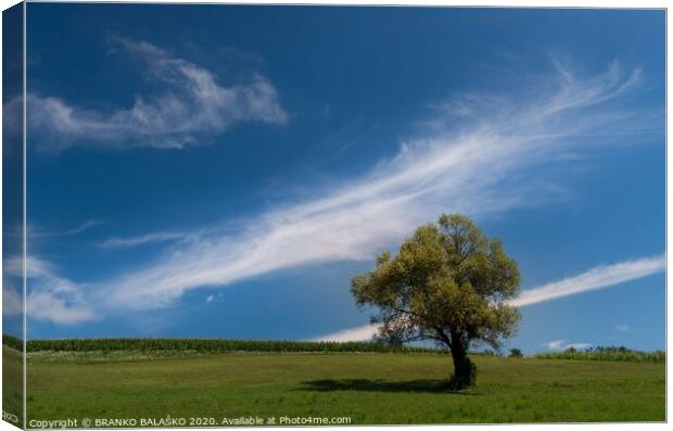 A large green field under a cloudy blue sky Canvas Print by BRANKO BALAŠKO