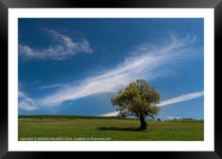 A large green field under a cloudy blue sky Framed Mounted Print by BRANKO BALAŠKO