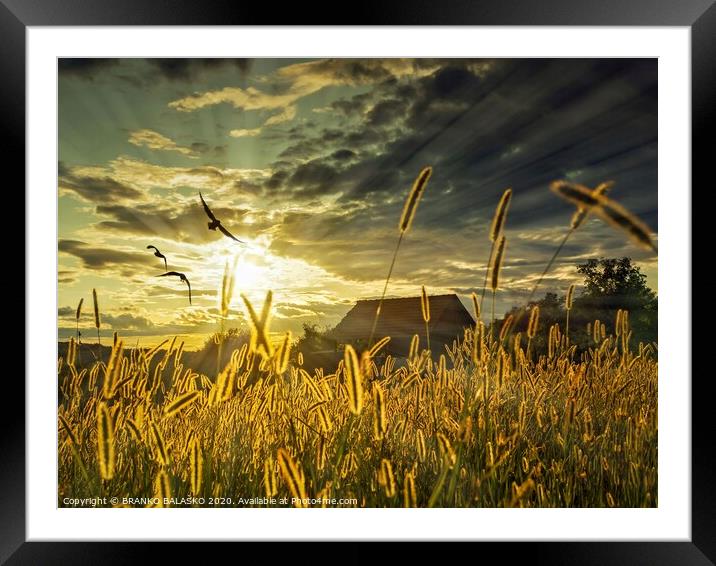 There is a house in the grass Framed Mounted Print by BRANKO BALAŠKO