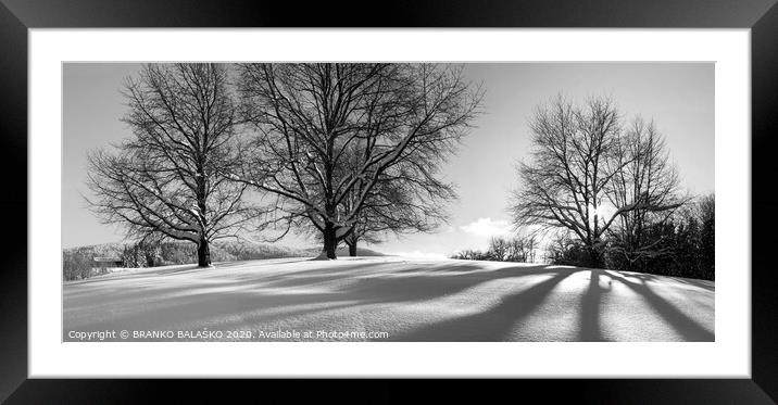 Trees with snow Framed Mounted Print by BRANKO BALAŠKO