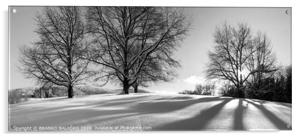 Trees with snow Acrylic by BRANKO BALAŠKO