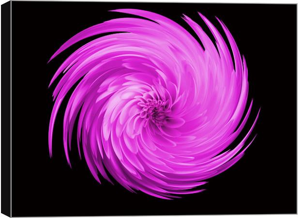 Pink Flower Swirl Canvas Print by kelly Draper