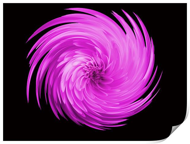 Pink Flower Swirl Print by kelly Draper