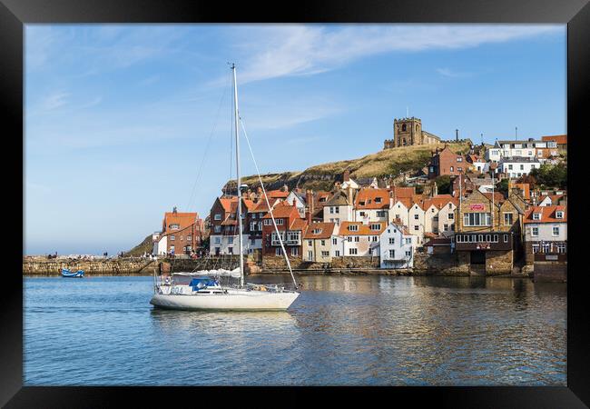 Yacht enters Whitby harbour Framed Print by Jason Wells