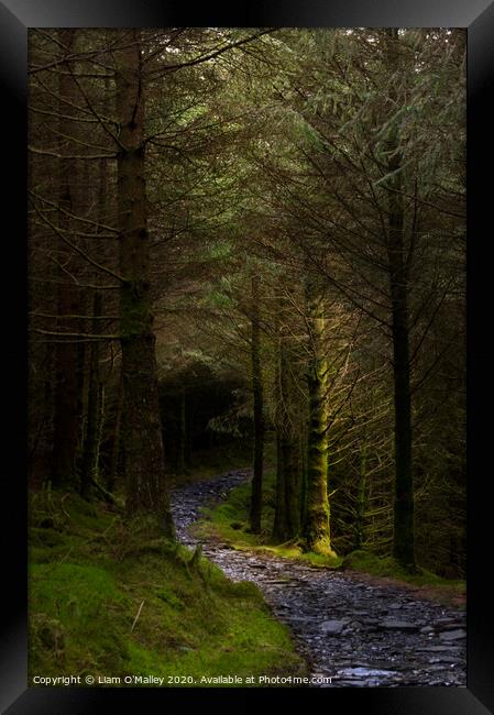 Beddgelert Forest Path Framed Print by Liam Neon