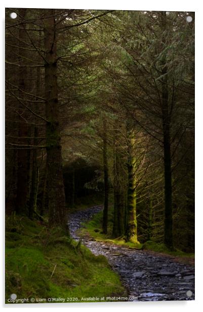 Beddgelert Forest Path Acrylic by Liam Neon