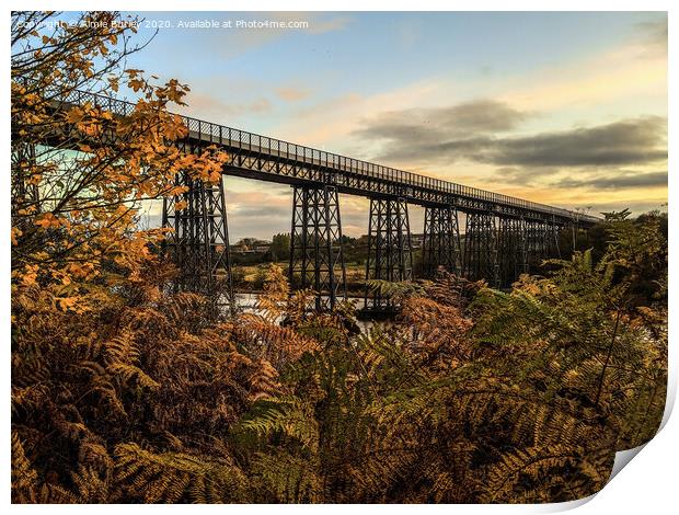 Autumn in Northumberland, Wansbeck Print by Aimie Burley