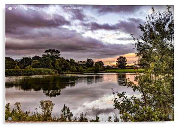 Lake at sunrise Acrylic by Aimie Burley