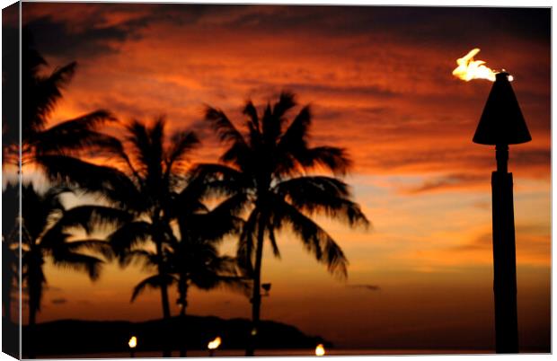 A red sunset over ocean shore in front of a palm tree Canvas Print by Alessandro Della Torre