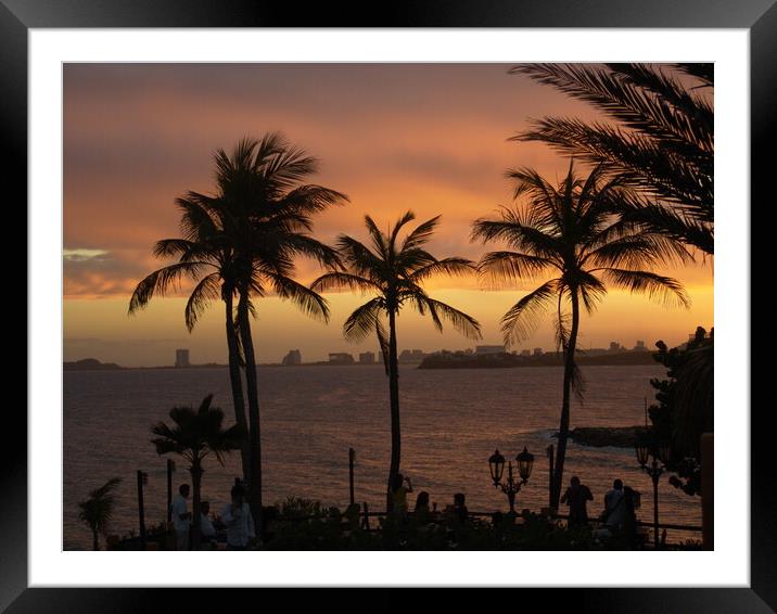 A group of palm trees on a beach near the ocean on Framed Mounted Print by Alessandro Della Torre