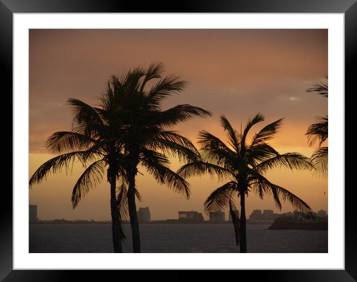 A group of palm trees on a beach near the ocean on the red sunset Framed Mounted Print by Alessandro Della Torre