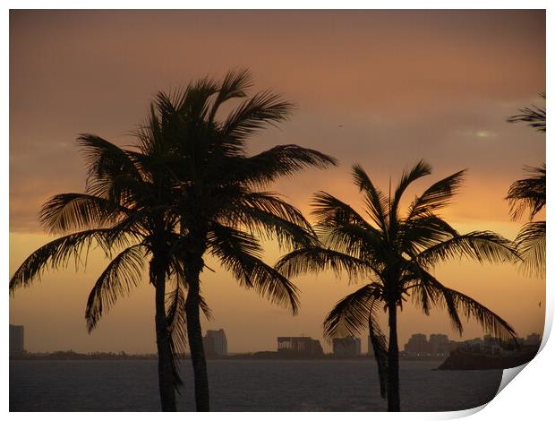 A group of palm trees on a beach near the ocean on the red sunset Print by Alessandro Della Torre