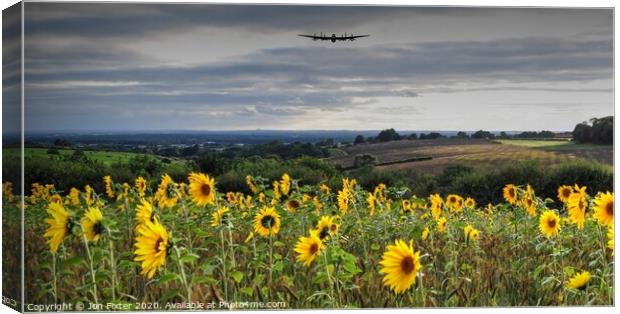 Lancaster Approach with  Sunflowers   Canvas Print by Jon Fixter