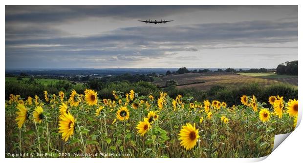 Lancaster Approach with  Sunflowers   Print by Jon Fixter