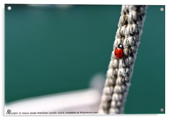 Ladybugs Courageous Climb Acrylic by Jesus Martínez