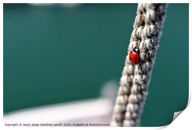 Ladybugs Courageous Climb Print by Jesus Martínez