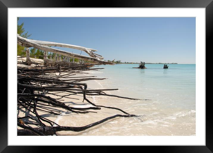 sandy beach with white sand in front of the ocean Framed Mounted Print by Alessandro Della Torre