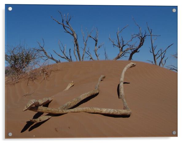 sossusvlei red desert dune Acrylic by Alessandro Della Torre