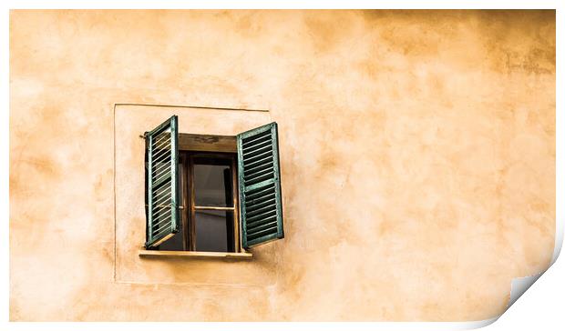 One Window with Green Shutters Print by Darryl Brooks