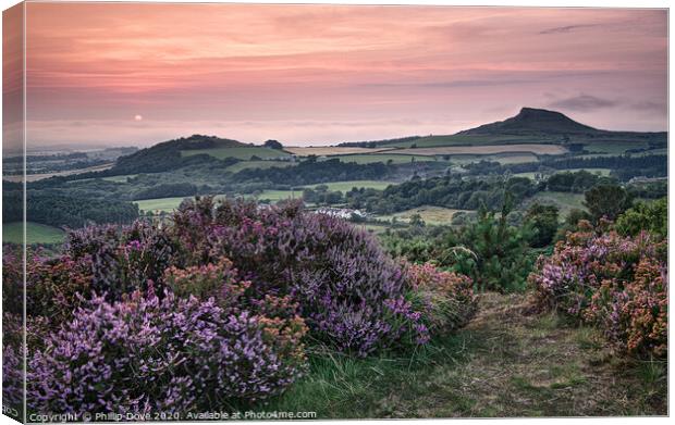Late Summer light at Roseberry Topping  Canvas Print by Phillip Dove LRPS