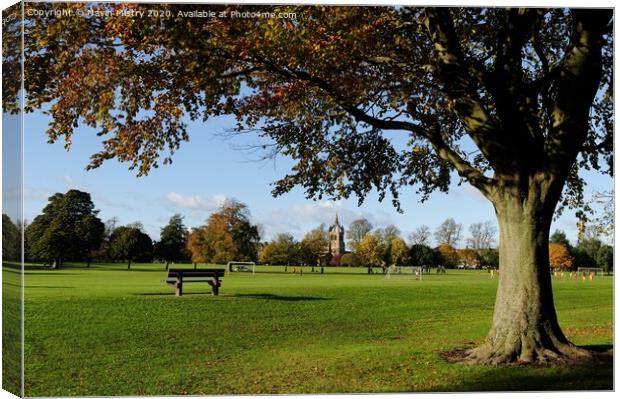 The South Inch, Perth, Scotland Canvas Print by Navin Mistry