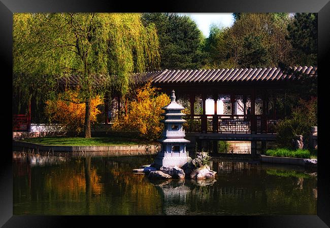 Chinese Garden Framed Print by Paul Piciu-Horvat