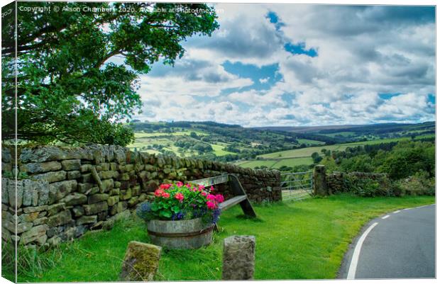 View From High Bradfield Canvas Print by Alison Chambers