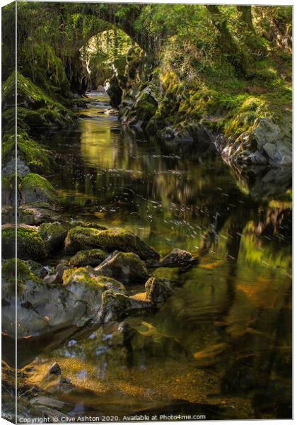 Serenity Canvas Print by Clive Ashton