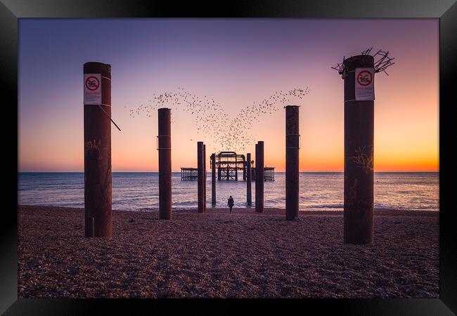 Brighton Starlings Murmuration Framed Print by Pablo Rodriguez