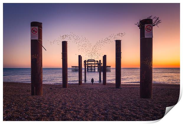 Brighton Starlings Murmuration Print by Pablo Rodriguez