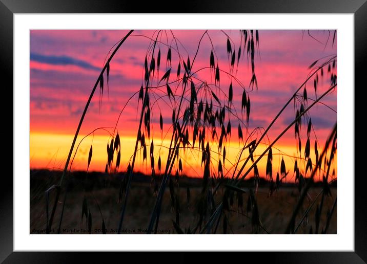 Sunset in the countryside Framed Mounted Print by Mandie Jarvis