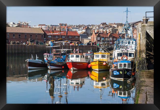 Colourful fishing boats in Scarborough harbour Framed Print by Jason Wells