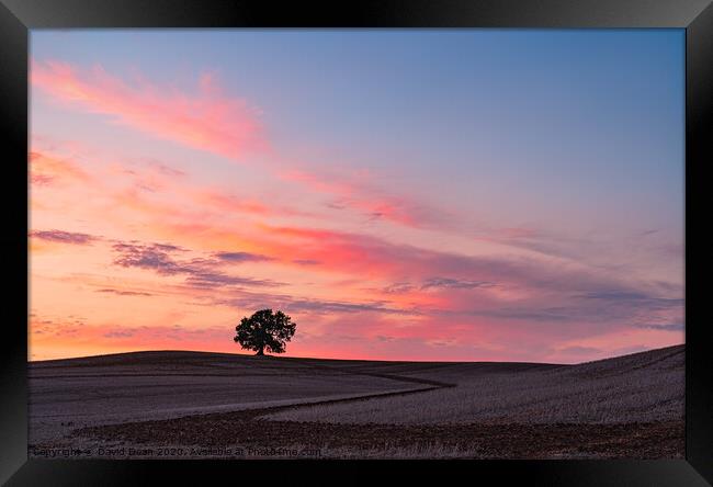A sunset on One Tree Hill Framed Print by David Dean