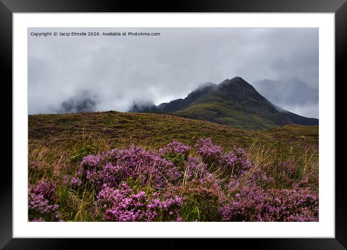 Mountain with Heather in the Mist Framed Mounted Print by Jacqi Elmslie