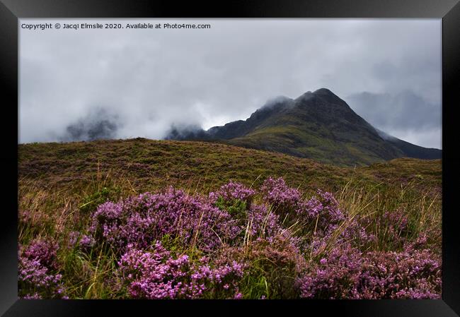 Mountain with Heather in the Mist Framed Print by Jacqi Elmslie