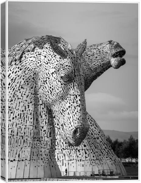 A close up of The Kelpies Canvas Print by Peter Anthony Rollings