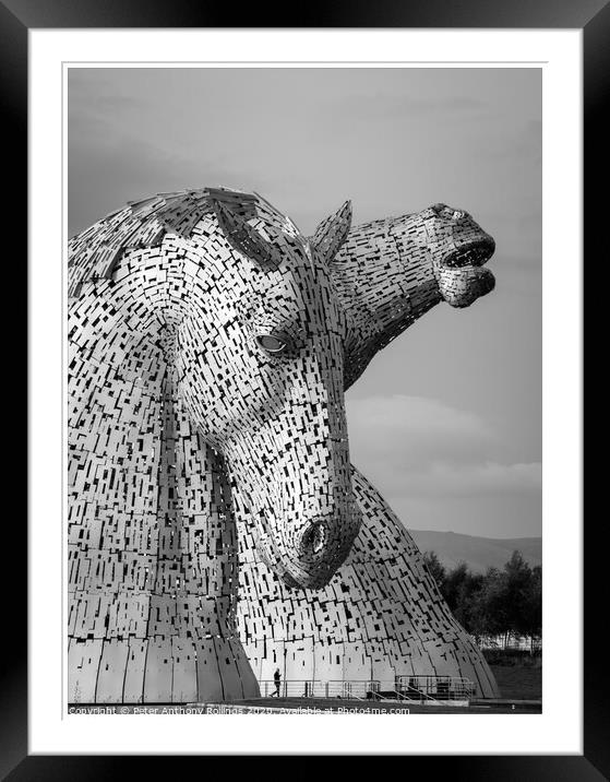 A close up of The Kelpies Framed Mounted Print by Peter Anthony Rollings