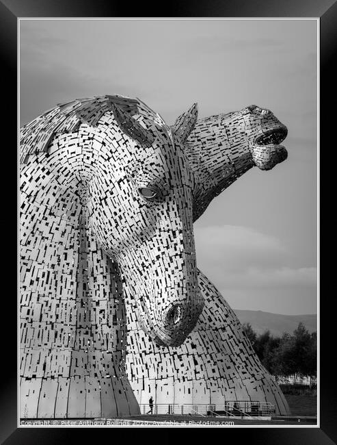 A close up of The Kelpies Framed Print by Peter Anthony Rollings