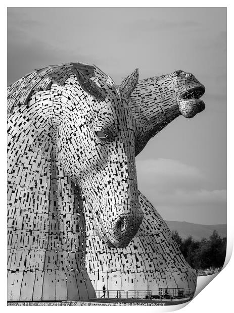 A close up of The Kelpies Print by Peter Anthony Rollings