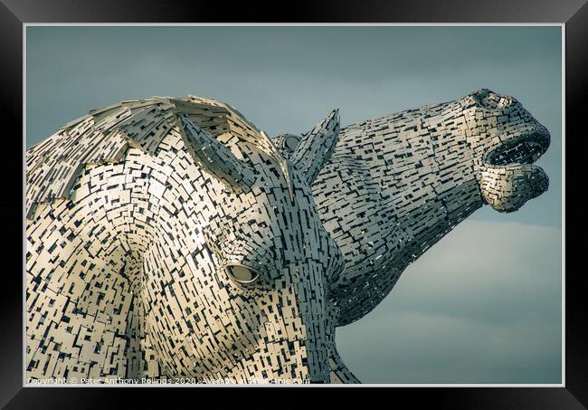 Up Close to The Kelpies Framed Print by Peter Anthony Rollings