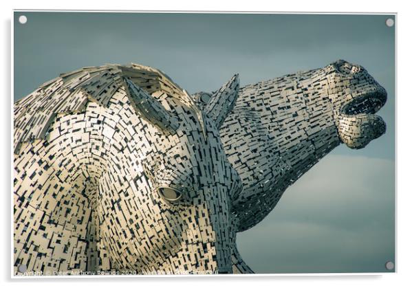 Up Close to The Kelpies Acrylic by Peter Anthony Rollings